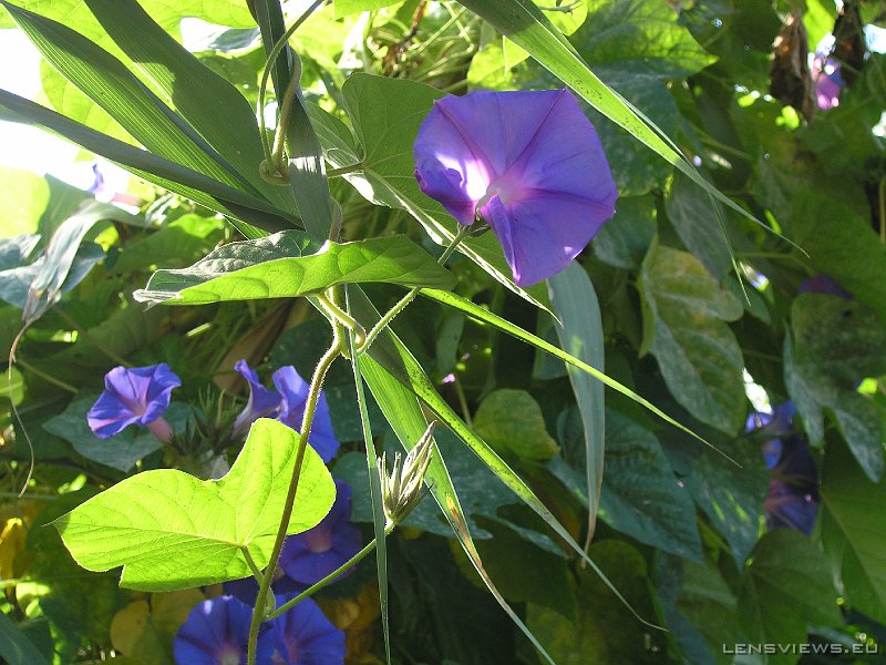 2006_11_19 11_04_53 OLYMPUS DIGITAL CAMERA         